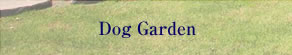 Dog Garden